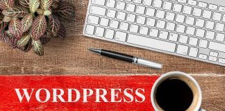 Situacije Kada Su Vam Potrebne Usluge Podrške za WordPress Word Press podrska
